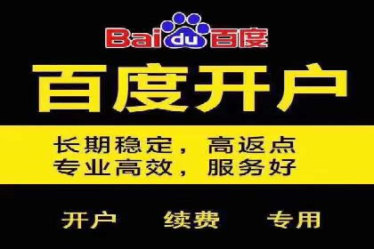 案例解析：专业竞价推广代运营团队实操